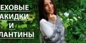 Меховые палантины и накидки